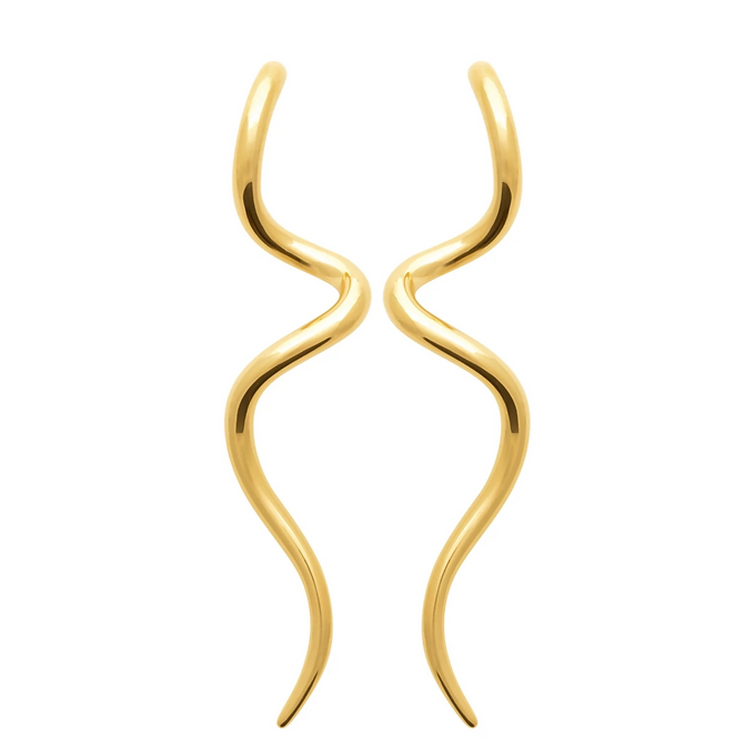 Wave Earrings