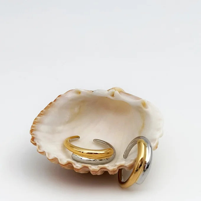 Two colors Ring