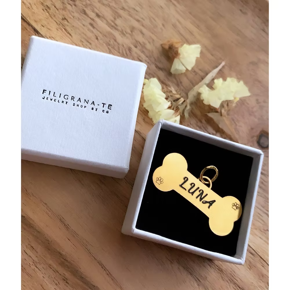 🦴 Chapa para coleira 🐾