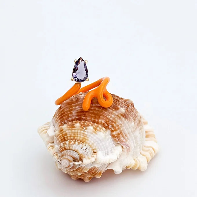 Odeceixe Beach Ring
