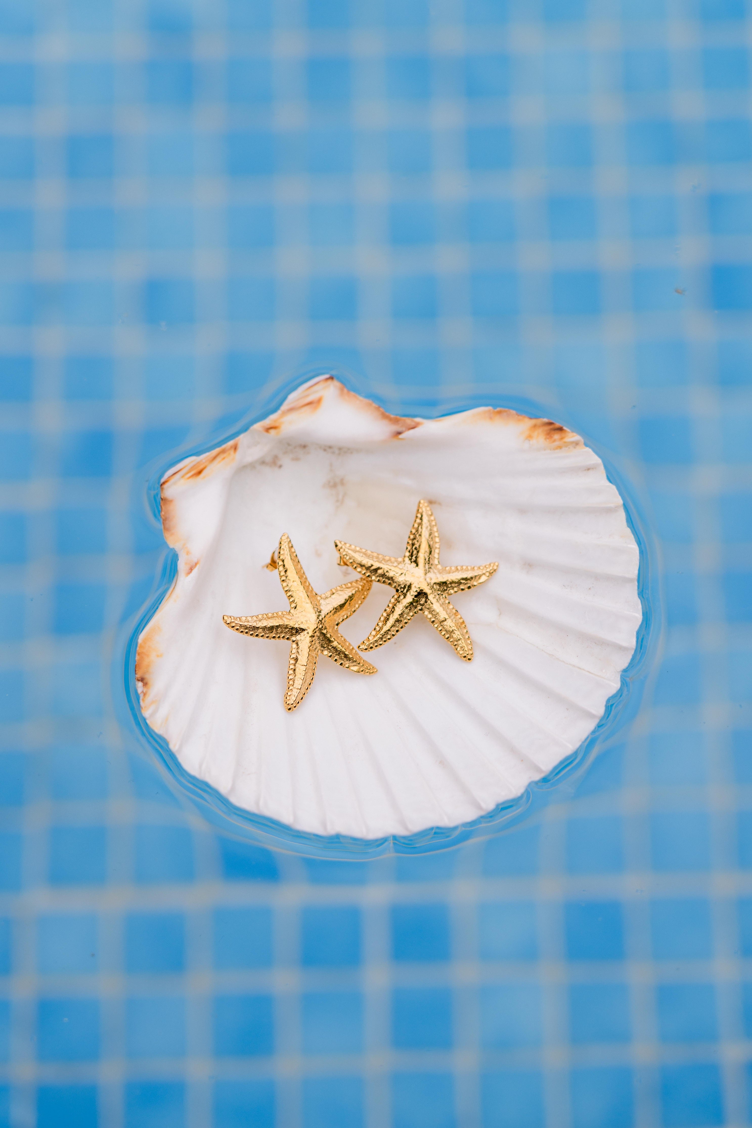 Brincos Estrela do Mar